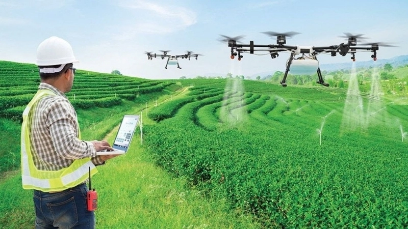 AI trong nông nghiệp xu hướng tất yếu của thời đại số