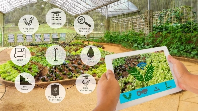 Lợi ích và thách thức khi triển khai AI trong nông nghiệp