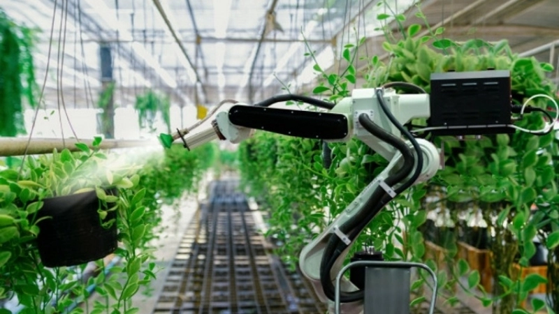 Robot nông nghiệp là gì và vai trò trong ngành nông nghiệp hiện đại