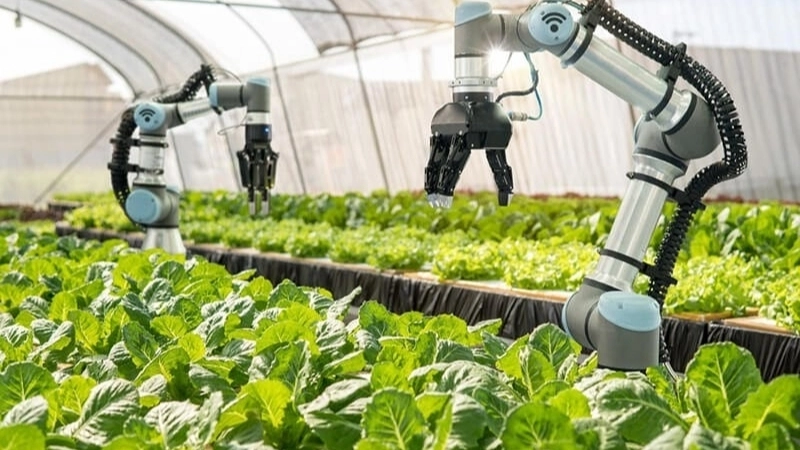 Tiềm năng và thách thức khi áp dụng robot vào nông nghiệp tại Việt Nam