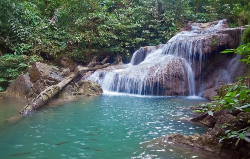 Cảnh vật quanh Thác Erawan thật yên bình