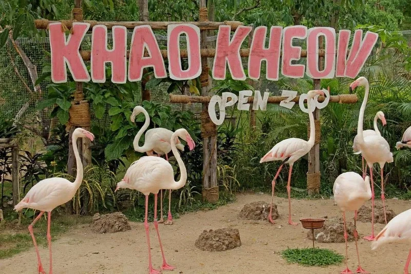 Đôi nét về Vườn thú Khao Kheow