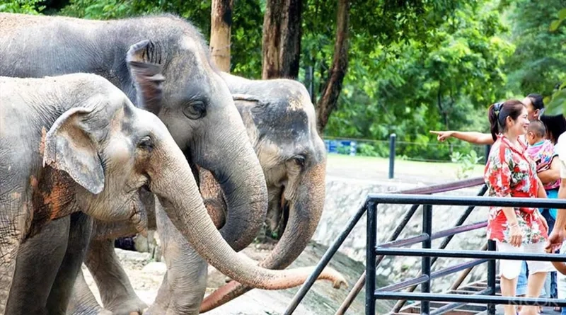 Thế giới động vật kỳ thú tại Vườn thú Khao Kheow