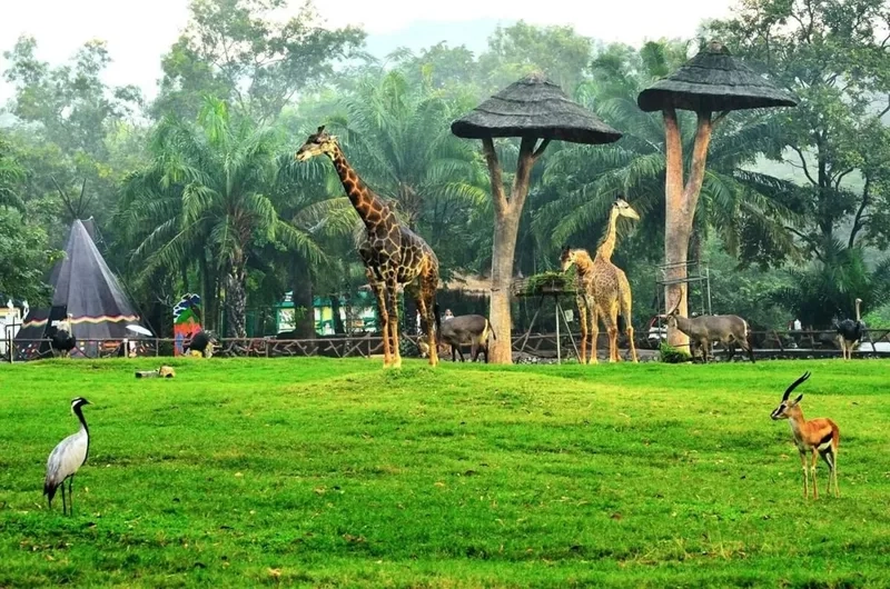 Vườn thú Khao Kheow trải nghiệm gần gũi thiên nhiên