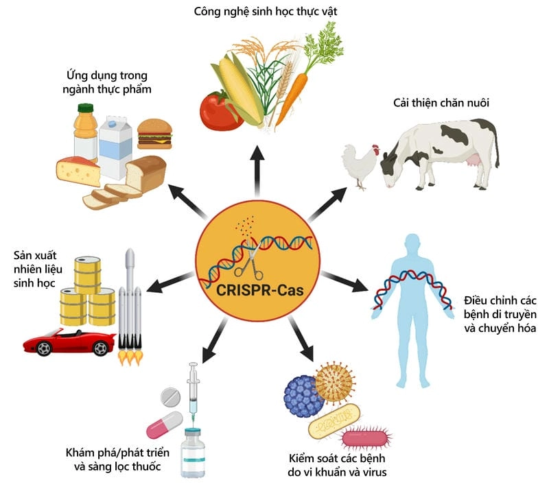 Giải mã cách CRISPR thay đổi ngành y học ra sao hiện nay