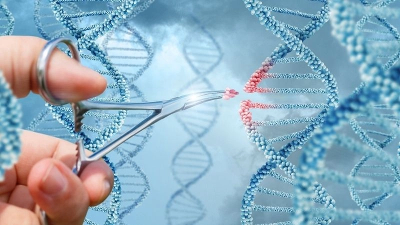 Chỉnh sửa gen và tương lai y tế