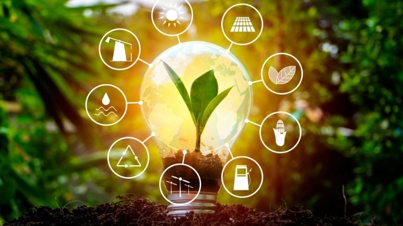 Nhiên liệu hóa thạch và bài học môi trường