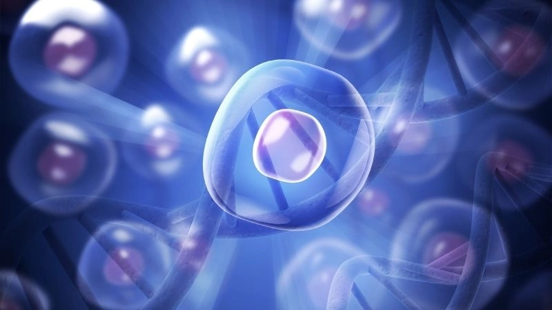 Y học tái sinh và tương lai sức khỏe