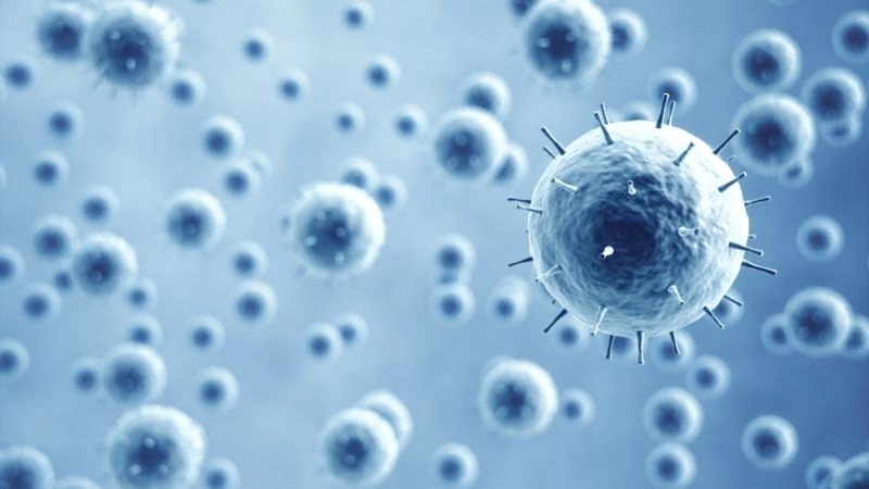 Kháng kháng sinh và phòng ngừa bệnh