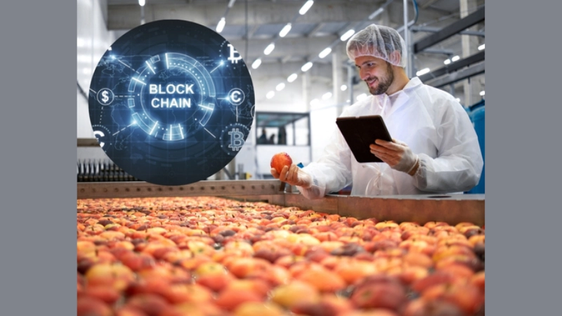 Blockchain nâng tầm minh bạch trong ngành thực phẩm