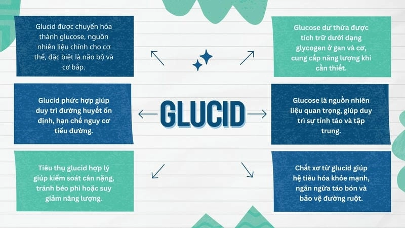 Khám phá vai trò của glucid trong cơ thể người là gì