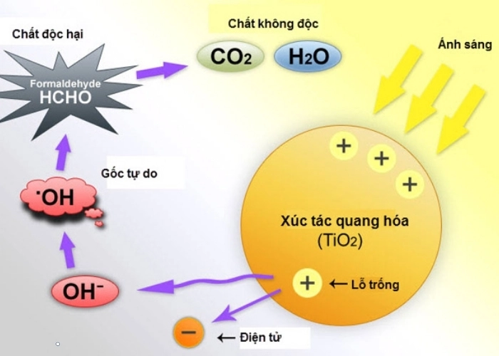 Tìm hiểu Phản ứng hóa học và tầm quan trọng của chất xúc tác