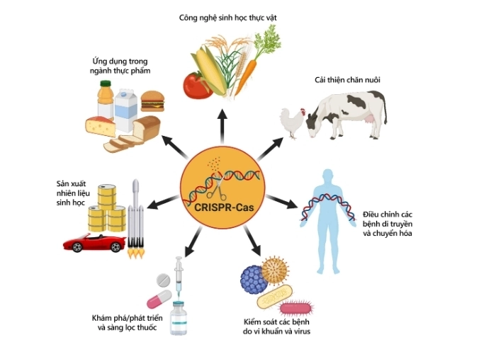 Khám phá các ứng dụng của chỉnh sửa gen thú vị nhất