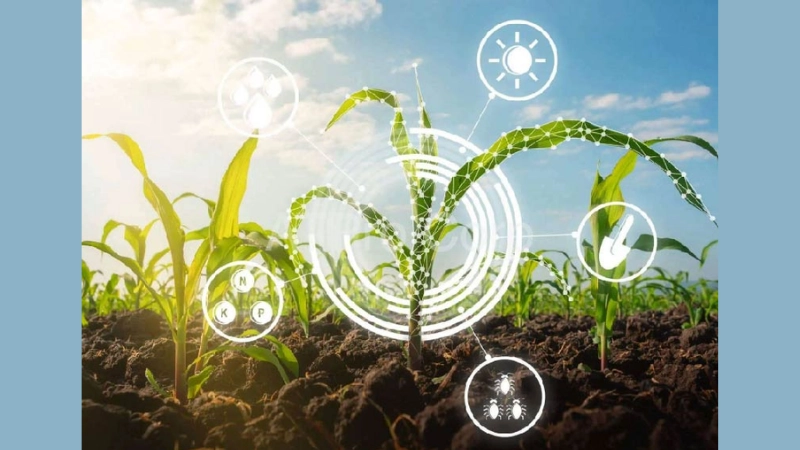 Công nghệ IoT nâng cao hiệu quả sản xuất