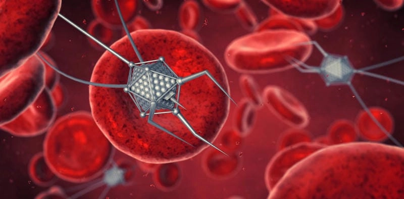 Khám phá công nghệ nano có thể chữa ung thư không cùng bạn