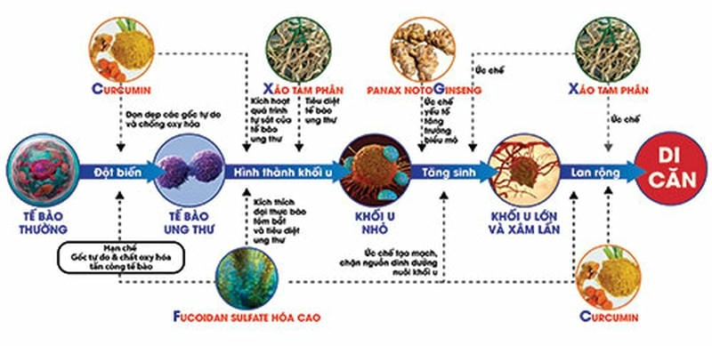 Tìm hiểu tiềm năng nano chữa ung thư trong y học hiện đại ngay nhé