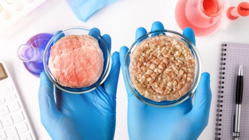 Công nghệ sinh học và đổi mới thực phẩm