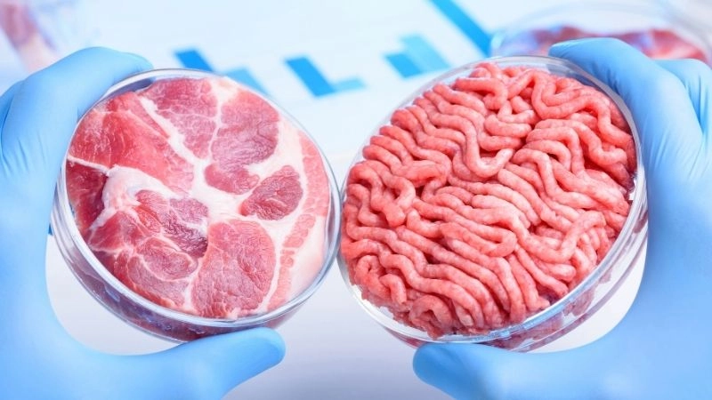 Thực phẩm bền vững và bảo vệ môi trường