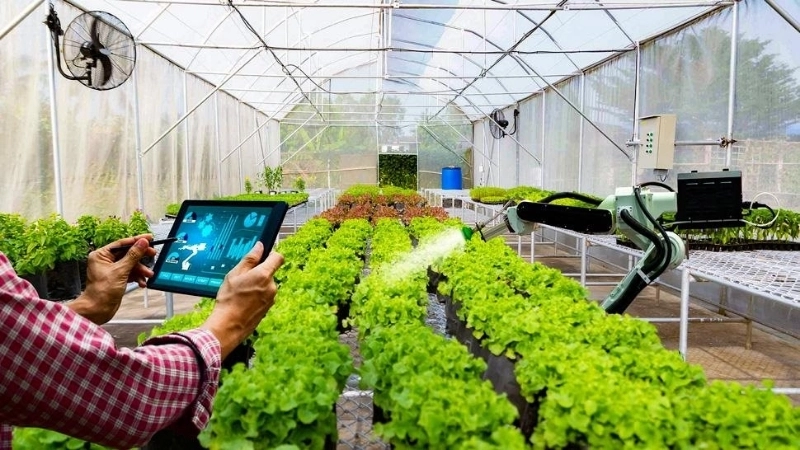 Công nghệ nông nghiệp bền vững là gì và vì sao cần thiết