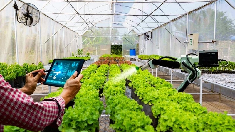 Tiềm năng và thách thức của công nghệ nông nghiệp Việt Nam