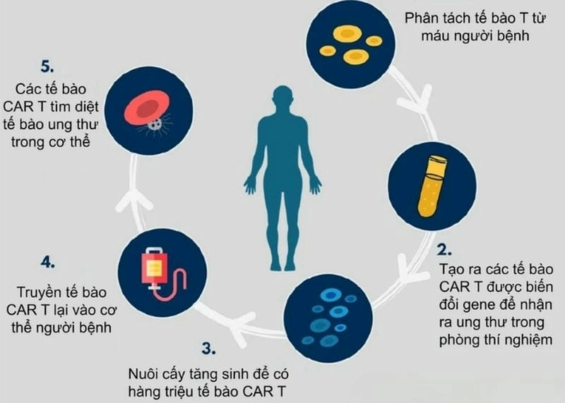 Tìm hiểu bước tiến của liệu pháp gen và miễn dịch