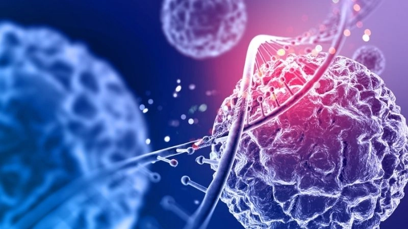 Tái tạo cơ thể và phục hồi sinh học