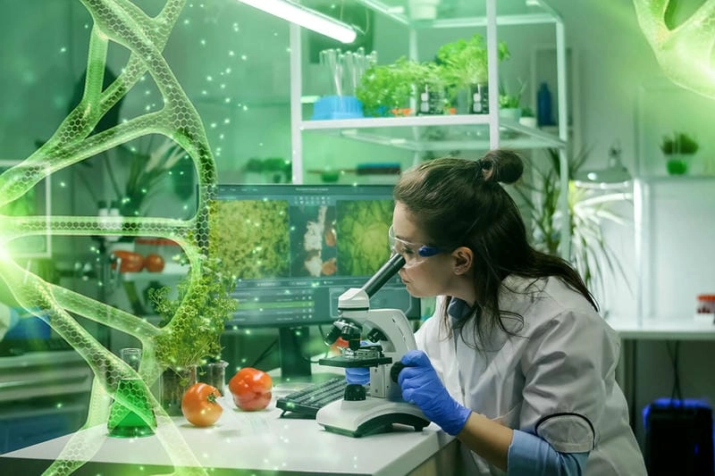 Khám phá tăng năng suất bằng công nghệ như thế nào hiệu quả