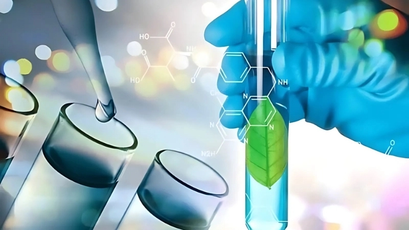 Công nghệ sinh học là gì? Ứng dụng nổi bật trong đời sống