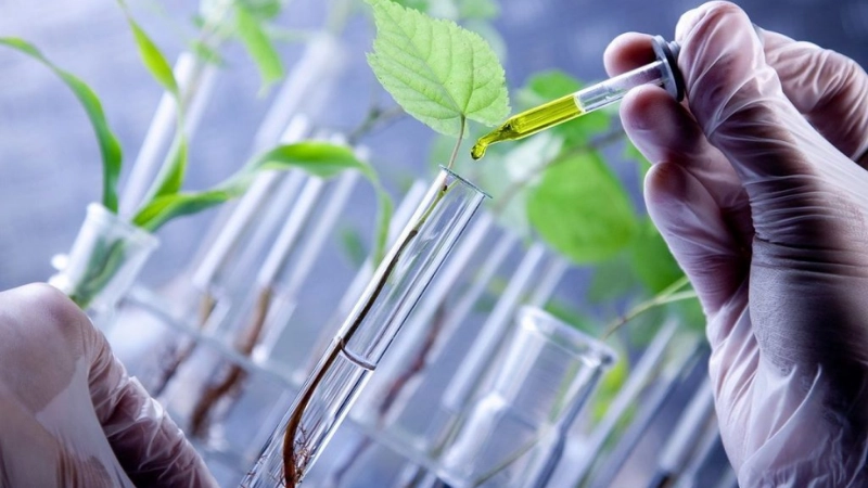 Công nghệ sinh học y học thúc đẩy dược phẩm thế hệ mới