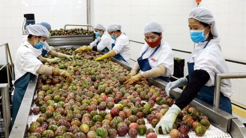 Công nghệ thực phẩm thay đổi cách sản xuất và bảo quản