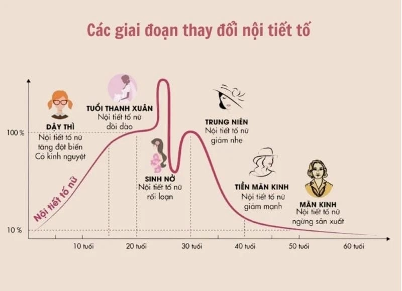 Hiểu rõ nội tiết tố ảnh hưởng thế nào khi dậy thì