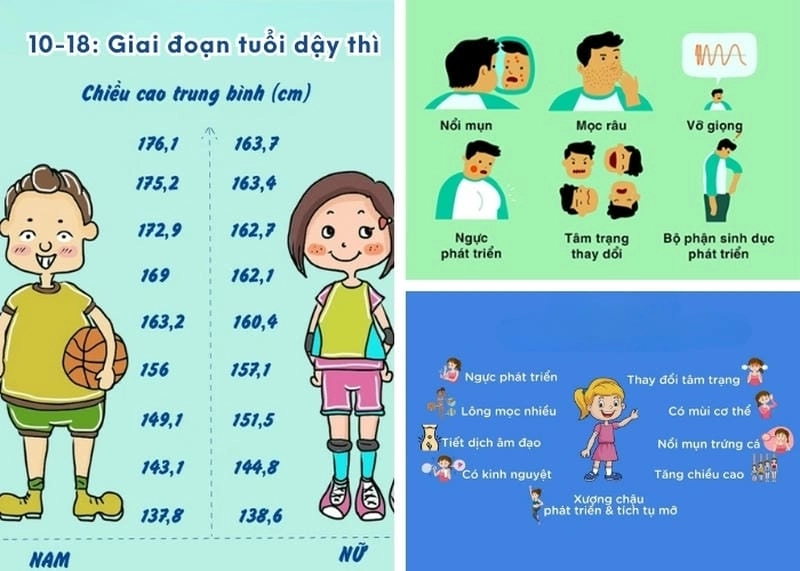 Khám phá những thay đổi thể chất đặc trưng theo giới tính