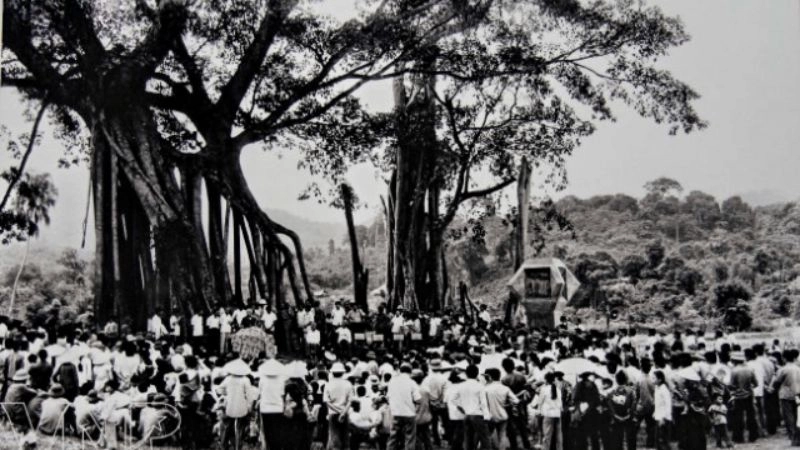 Lịch sử hình thành khu di tích Tân Trào 