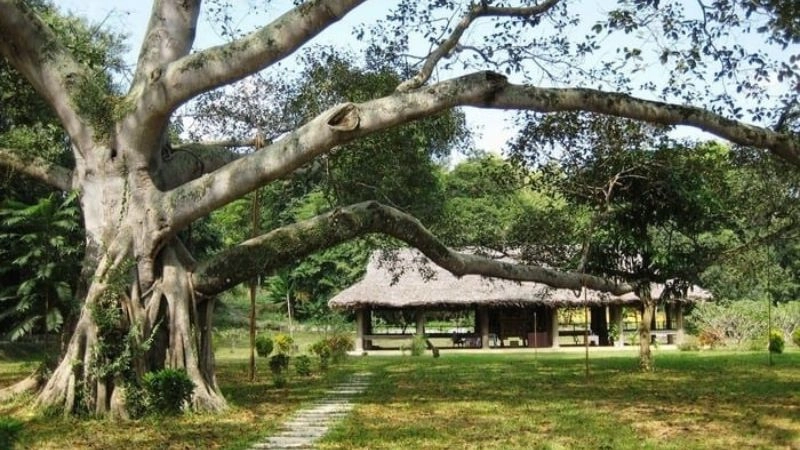 Cách di chuyển đến khu di tích Tân Trào  dễ dàng