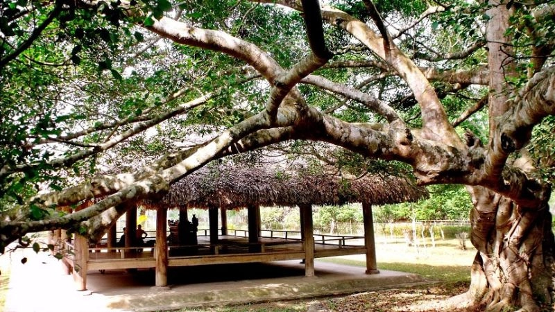 Tân Trào linh thiêng giữa đại ngàn miền Đông Bắc