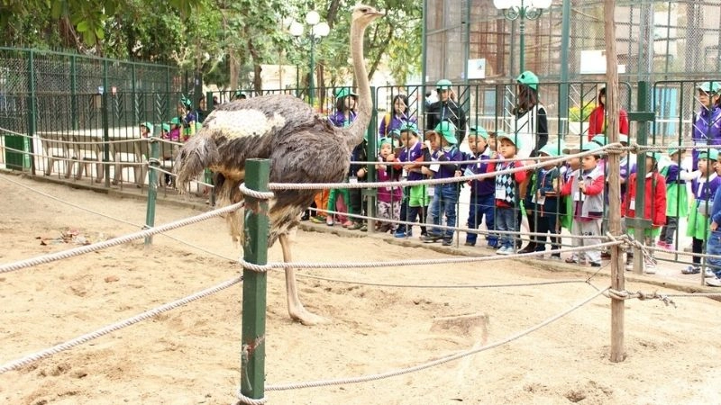 Công viên Thủ Lệ rộn ràng tiếng cười trẻ thơ