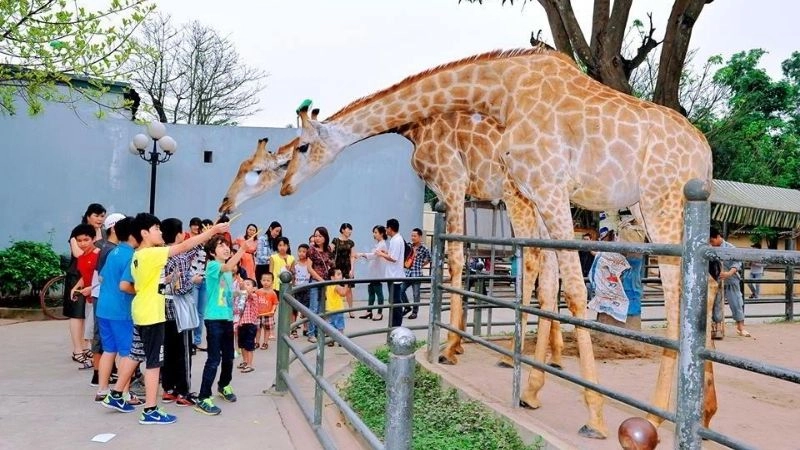 Công viên Thủ Lệ là điểm đến cuối tuần lý tưởng