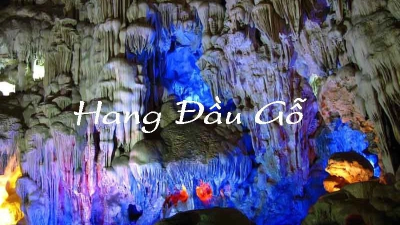 Hang Đầu Gỗ được mệnh danh là “kỳ quan cổ tích dưới lòng đất”