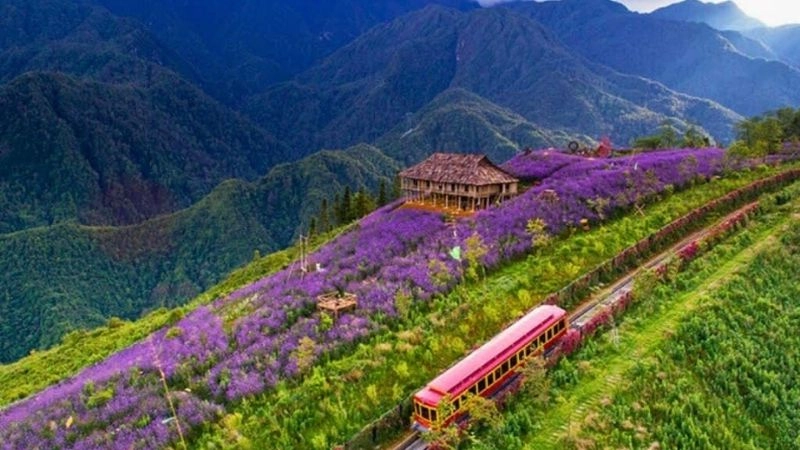 Thung lũng Mường Hoa: Đây là một trong những thung lũng đẹp nhất Sapa