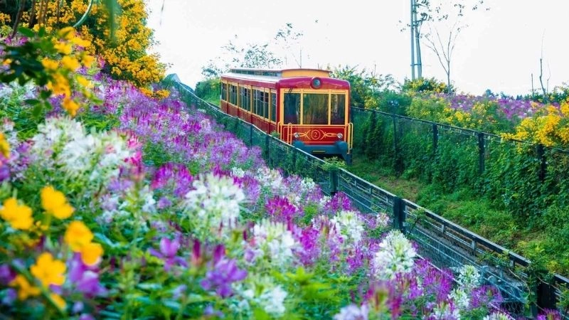 Mường Hoa dịu dàng trong ánh nắng ban mai