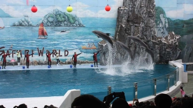 Đảo Tuần Châu đắm say lòng người yêu biển cả