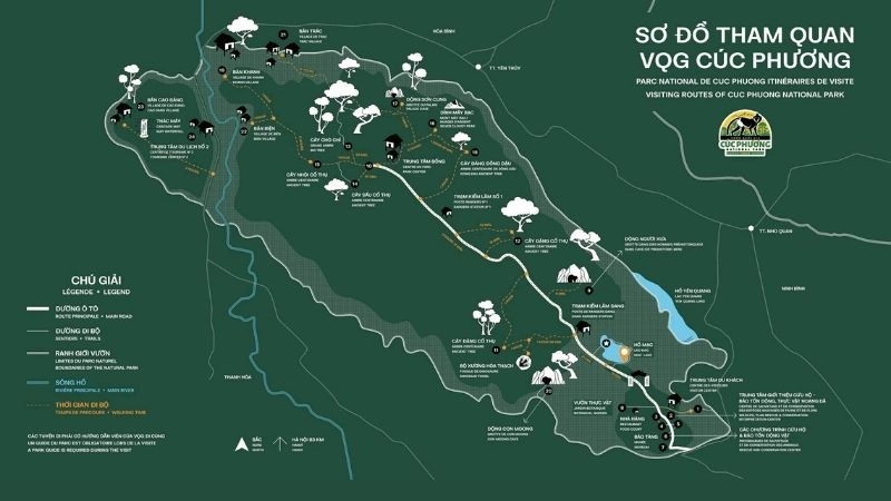 Thời điểm lý tưởng nhất để khám phá Vườn Quốc gia Cúc Phương là từ tháng 3 đến tháng 5