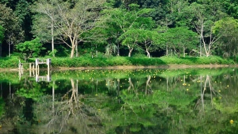 Vườn quốc gia Cúc Phương xanh ngát giữa đại ngàn