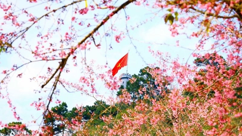 Cột cờ Lũng Cú vững vàng giữa gió núi rừng