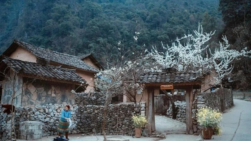 Dạo bước phố cổ Đồng Văn trong sương sớm mờ