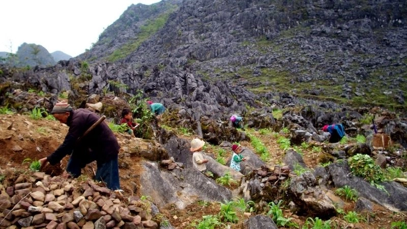 Khám phá Đồng Văn giữa tầng tầng đá xám