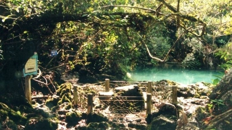 Hành trình về Pác Bó như trở lại cội nguồn