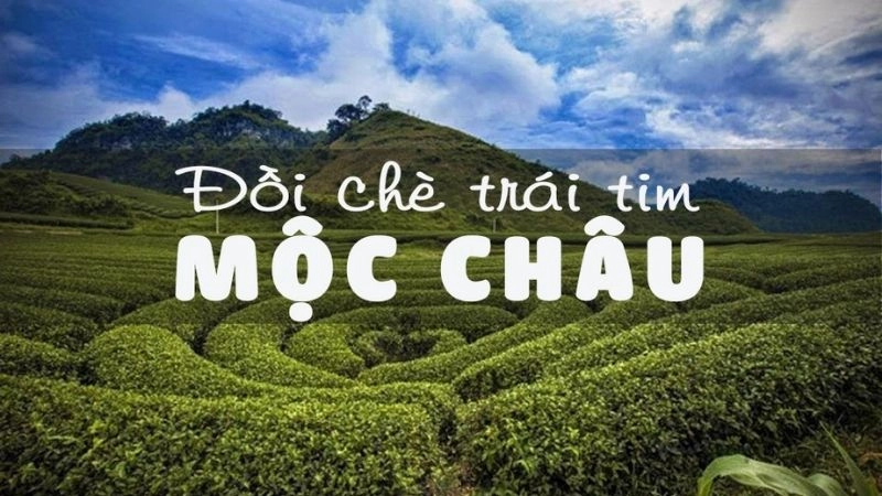  đồi chè Mộc Châu thuộc tỉnh Sơn La là một trong những điểm đến được săn đón bậc nhất 