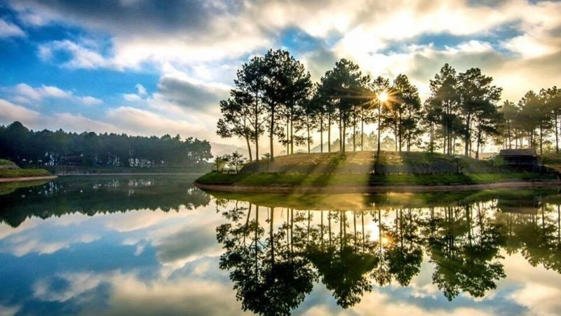 Lịch sử hình thành rừng thông bản Áng 