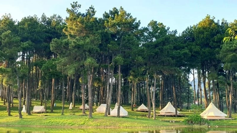 Bản Áng mơ màng giữa sắc xanh rừng thông